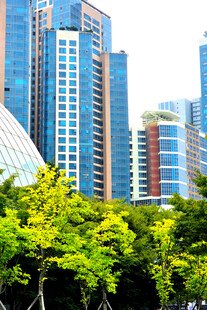 城市现代高楼景观