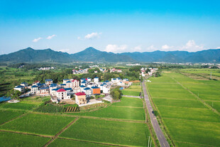 美丽乡村田园风光