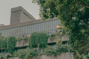 绿植掩映的城市现代建筑