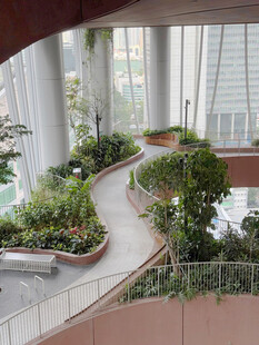 室内中庭绿植步道景观