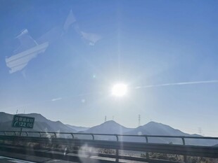 塞北林场