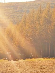 塞北林场