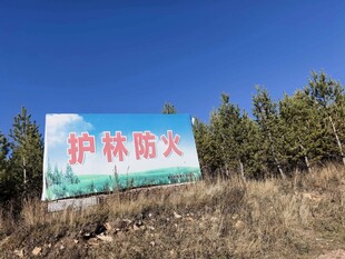 塞北林场