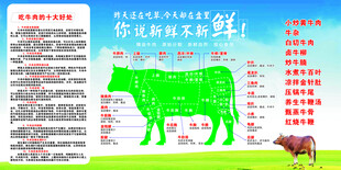 牛的分解图 牛的好处