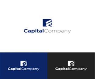 资本公司品牌logo设计
