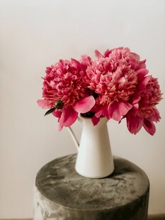 红芍药花束