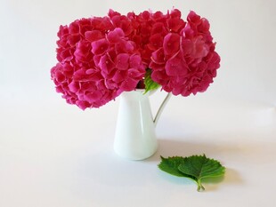 红色鲜花花束
