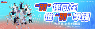 羽毛球运动VICTOR丹麦羽毛