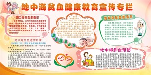 地中海贫血健康教育宣传专栏