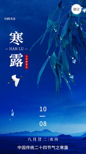 寒露节气创意海报