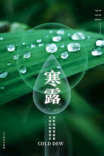 寒露节气主题海报