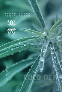 寒露节气绿植意境海报