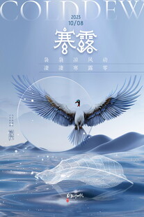 寒露节气飞鸟意境海报