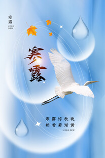 寒露节气创意海报