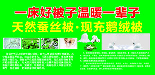 蚕丝鹅绒被宣传海报