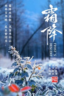 霜降节气国风海报