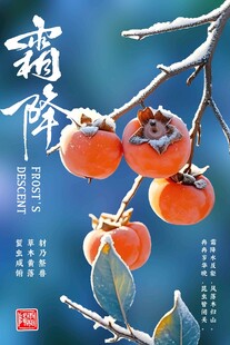 霜降柿子节气海报