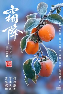 霜降柿子节气海报