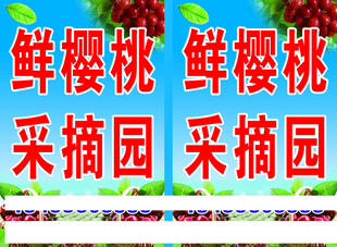 鲜樱桃采摘园宣传海报