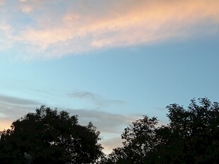 黄昏天空树影