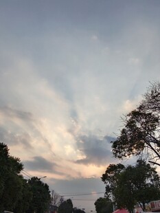 黄昏天空树木剪影
