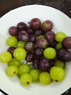 盘中双色鲜葡萄