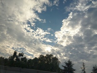 傍晚天空云景树影