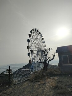 郊野摩天轮远景