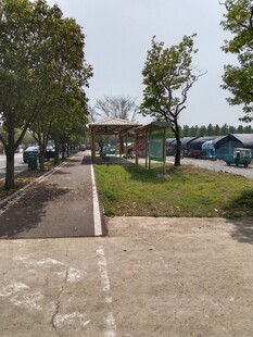 园区户外林荫道路