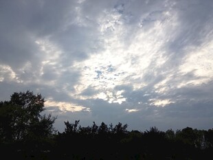 黄昏天空云与树影