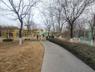 公园冬日步道景色