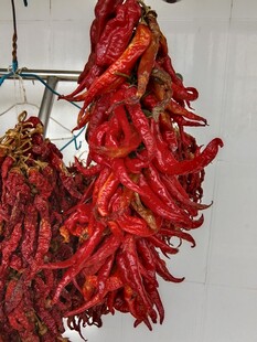 悬挂的干红辣椒串