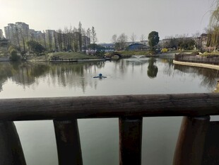 城市河畔静谧湖景