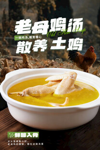 鸡汤