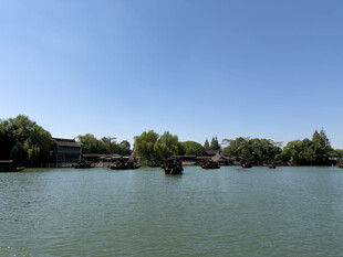 江南水乡湖岸晴景