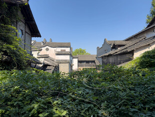 江南古村落晴日风光
