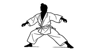 武术格斗姿势插画