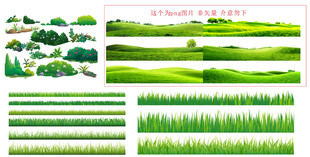 绿色草丛