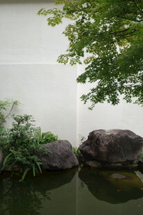 朦胧雾色湖岸水景