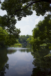 林间静谧湖景风光