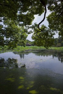 湖畔绿树水景风光