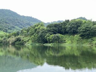 青山湖畔自然美景