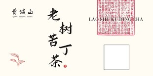 苦丁茶