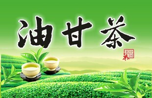 油甘茶