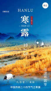 寒露节气宣传海报