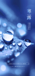 寒露节气水滴创意海报