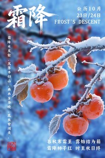 霜降柿子节气创意海报