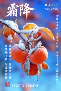 霜降节气柿子主题海报