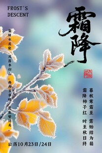 霜降节气国风海报