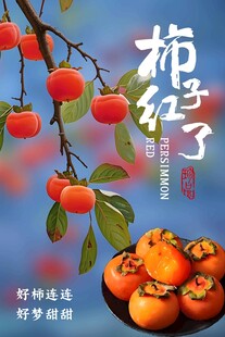 柿子红了秋季主题海报